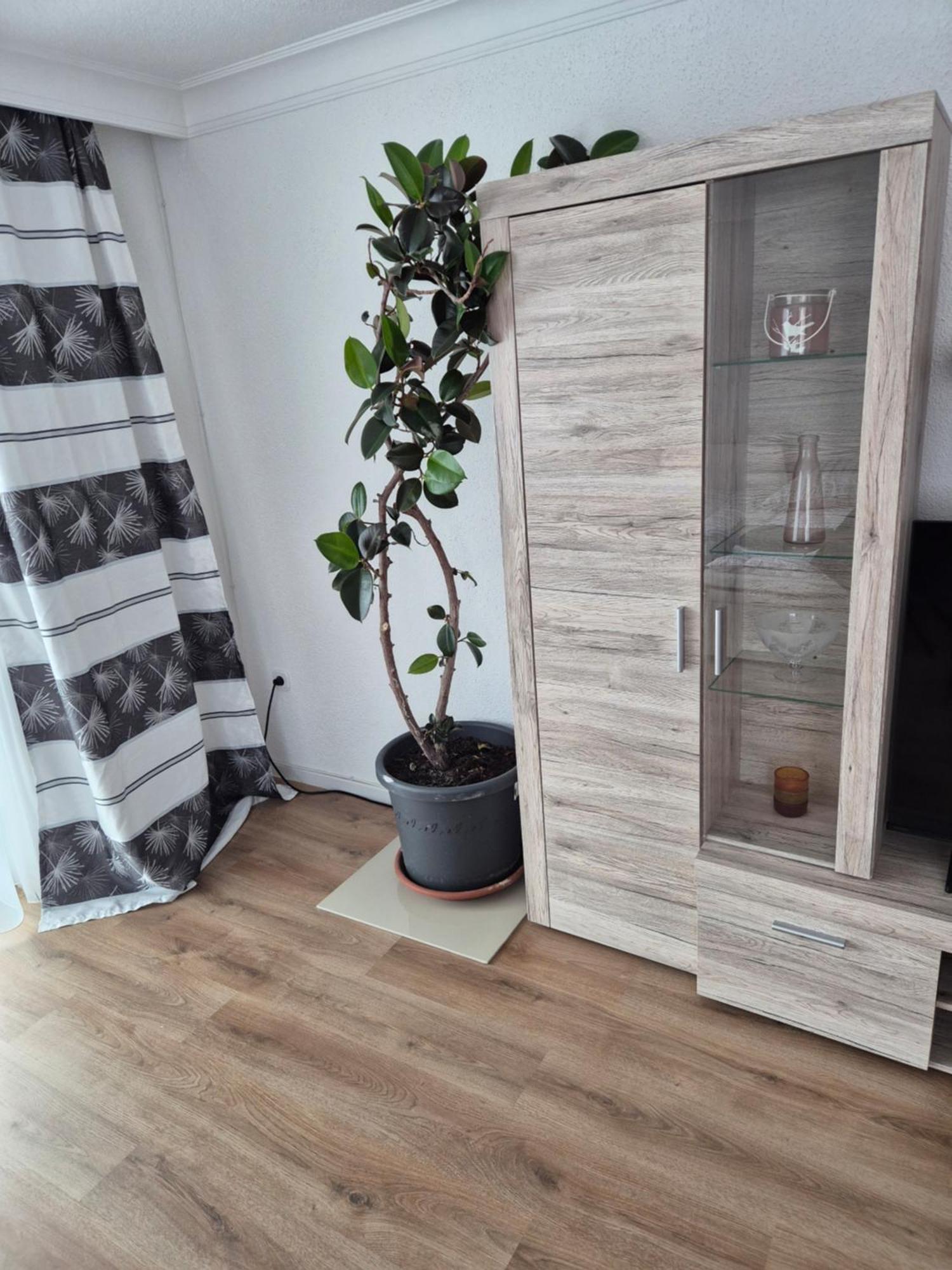 Ferienwohnung Selb Apartment Selb